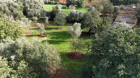 Casa de 175 m² a Manacor