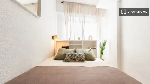 Chambre à louer, Alicante (2/19)