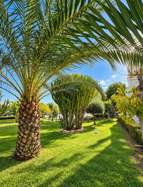 Casa de 80 m² a el Campello
