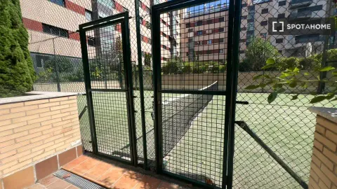 Pis de lloguer, Madrid