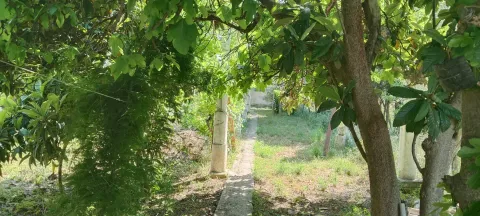 Habitació de lloguer, la Pobla de Vallbona