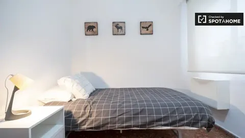 Stanza in affitto, Valencia