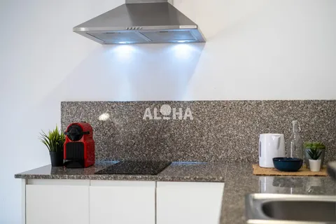 Flat 1597 m² in Alfara del Patriarca
