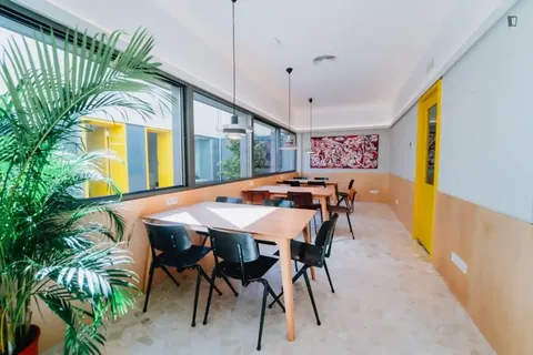 Habitació de lloguer, Madrid