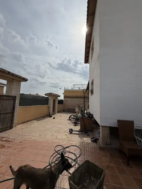 Maison 208 m² à Sant Vicent del Raspeig / San Vicente del Raspeig (4/4)