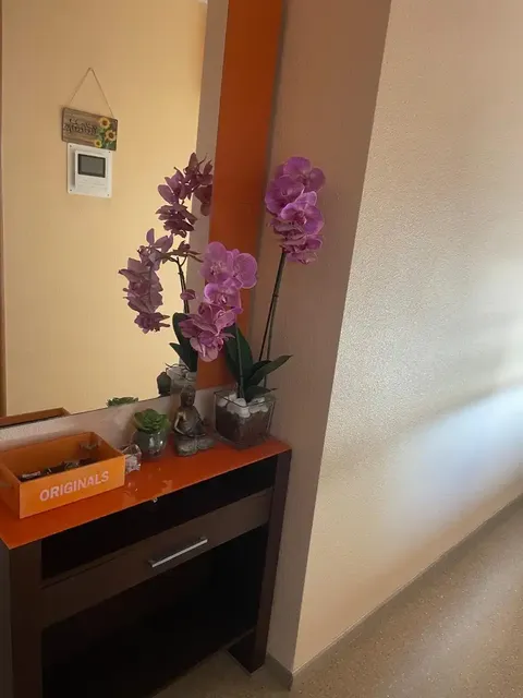 Pis de 112 m² a Novelda