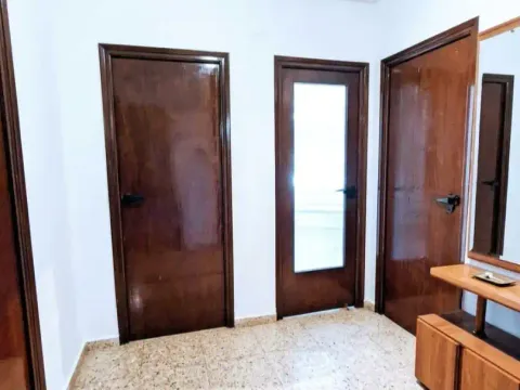 Habitació de lloguer, Elx