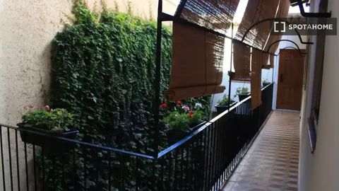 Habitació de lloguer, Cullera