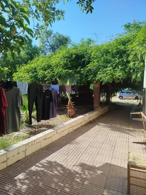 Stanza in affitto, Elx / Elche