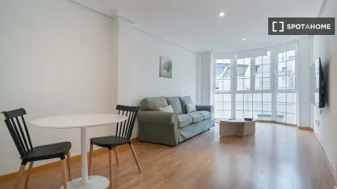 Flat for rent, Madrid (4/14)