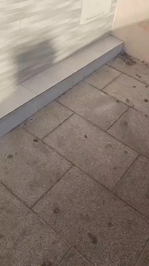 Pis de 40 m² a Alcalá de Guadaíra