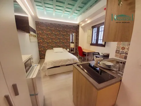 Wohnung 19 m² in Granada