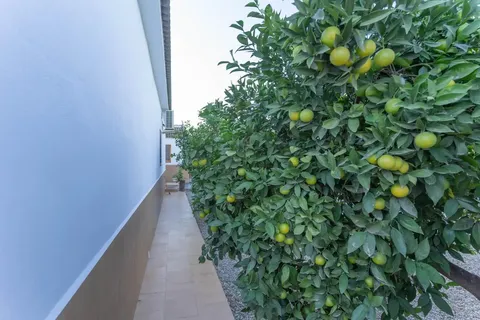 Casa de 160 m² a Alhaurín el Grande