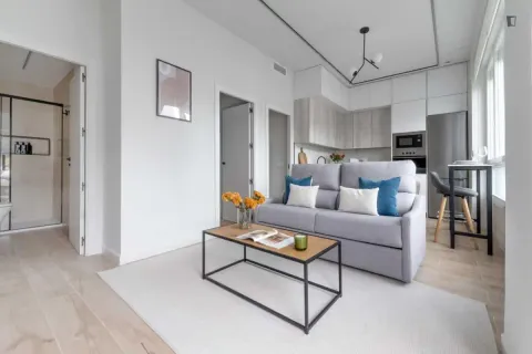 Flat 50 m² in Madrid
