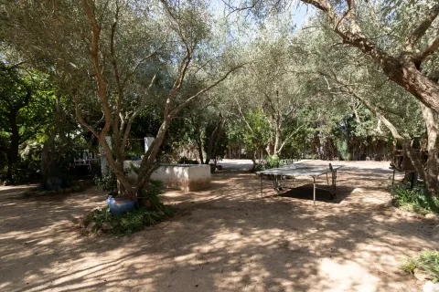 Maison 466 m² à Xérès