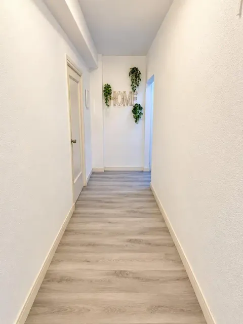 Habitació de lloguer, Alacant