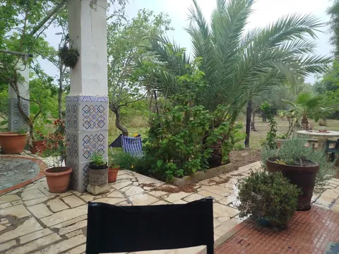 Stanza in affitto, Elx / Elche