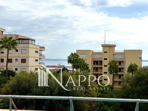 Maison 297 m² à Palma