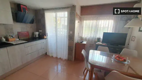 Habitació de lloguer, Alacant