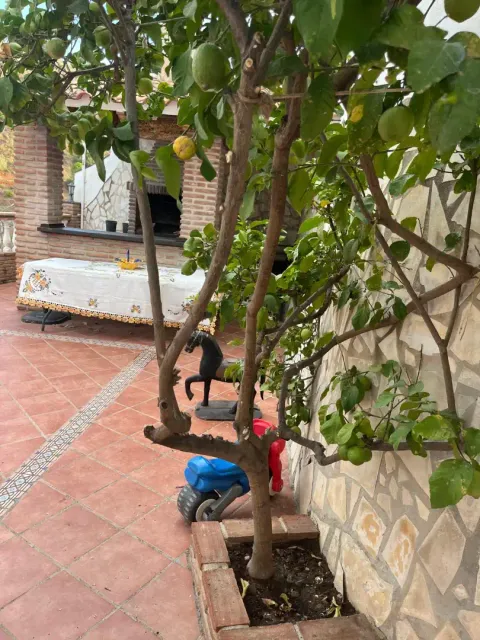 Casa 200 m² a Canillas de Aceituno