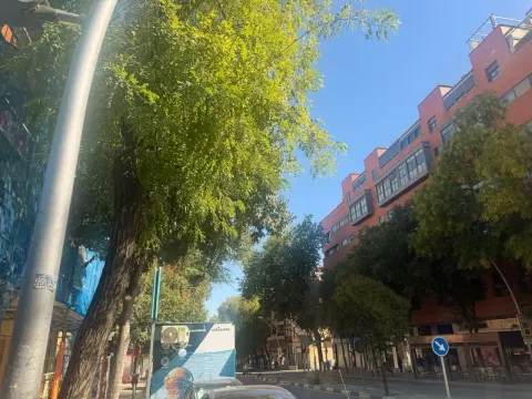 Appartamento 60 m² a Madrid