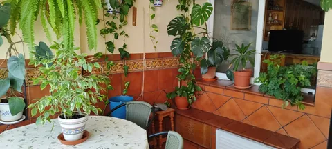 Pis de 60 m² a Algesires