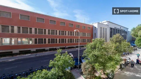 Habitació de lloguer, Madrid