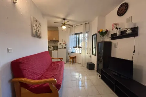 Apartamento 30 m² em Torrevieja (2/15)