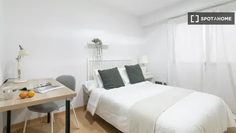 Habitació de lloguer, Alacant