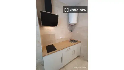 Pis de 40 m² a Madrid (2/11)