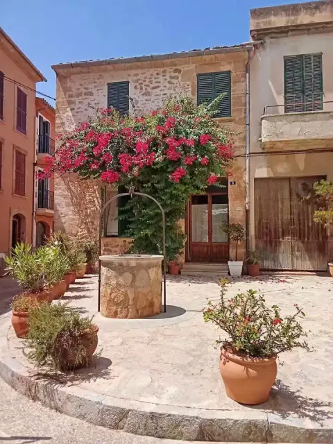 Кімната в оренду, Sineu (2/6)