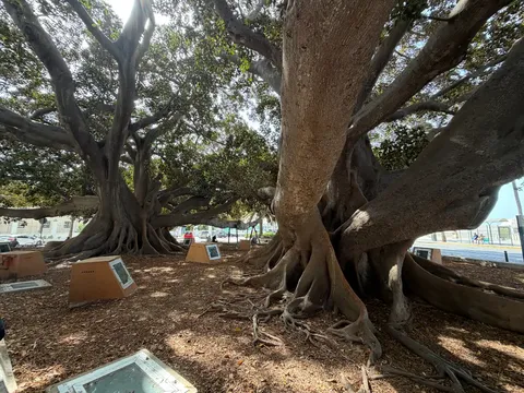 Pis de 80 m² a Cádiz