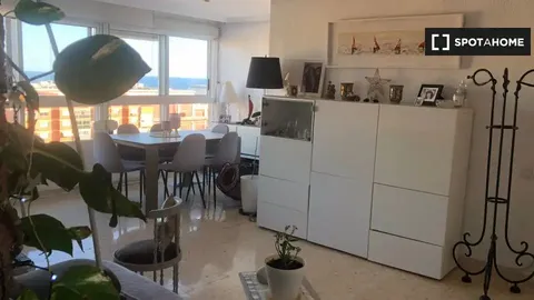 Habitació de lloguer, Alacant