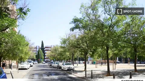 Habitació de lloguer, Sevilla