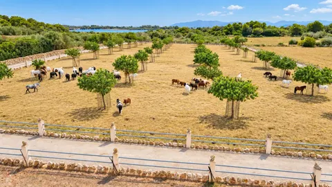 Casa de 69 m² a Santa Margalida