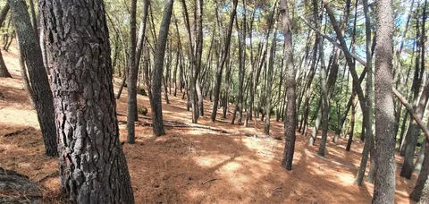 Pis de 57 m² a Lleida