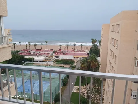 Pis de lloguer, Alacant
