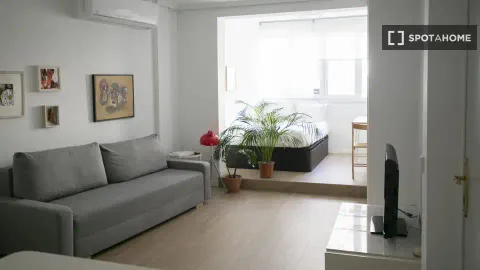 Pis de 30 m² a Madrid