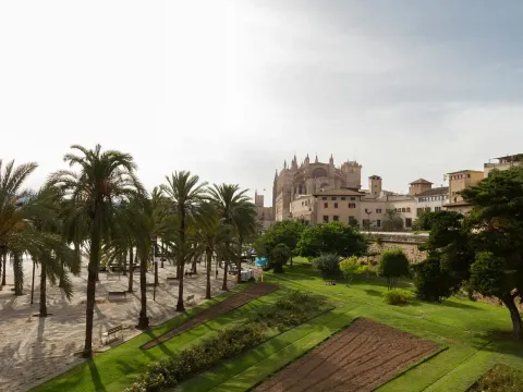 Appartement 60 m² à Palma