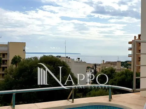 Maison 297 m² à Palma