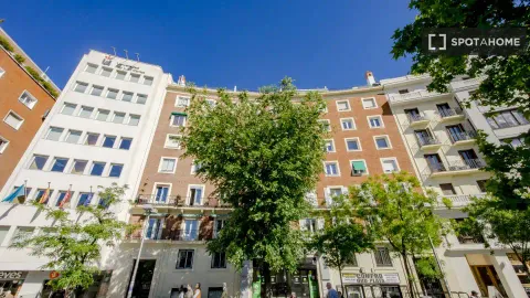 Room for rent, Madrid