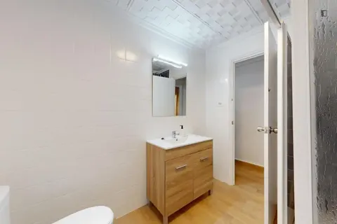Habitació de lloguer, Elx