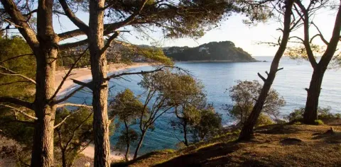 Flat 53 m² in Lloret de Mar