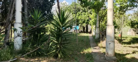 Habitació de lloguer, la Pobla de Vallbona