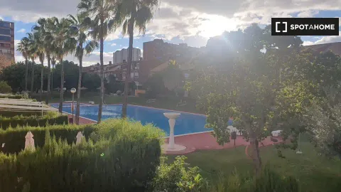 Habitació de lloguer, Alacant