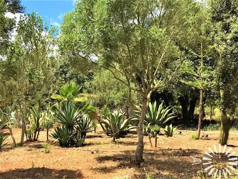 Moradia 165 m² em Porreres