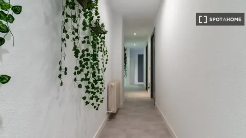 Zimmer zur Miete, Madrid