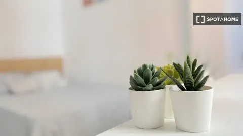 Quarto para alugar, Sevilla