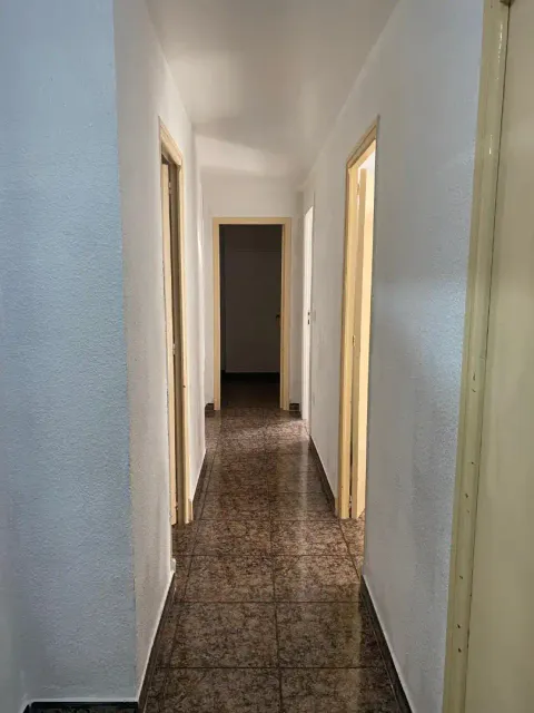 Habitació de lloguer, Elx