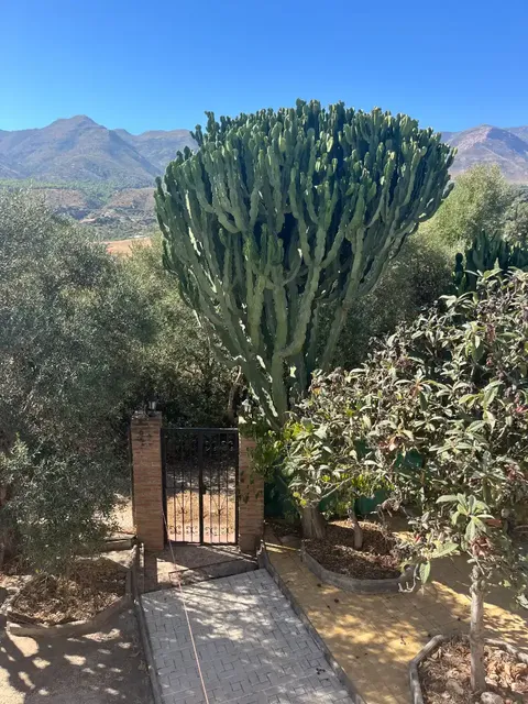 Haus 90 m² in Alhaurín de la Torre